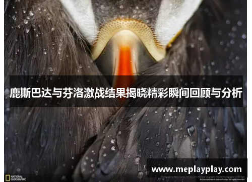 鹿斯巴达与芬洛激战结果揭晓精彩瞬间回顾与分析